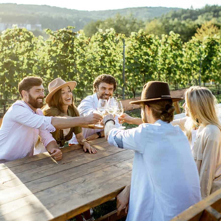 Group of a young people drinking wine and talking together while sitting at the dining table outdoors on the vineyard on a sunny evening